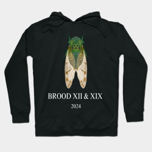 Cicada Brood XIII & XIX 2024 Hoodie